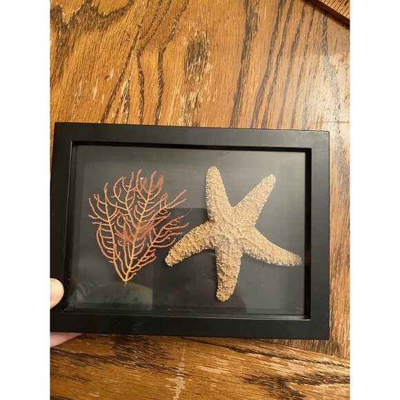 Framed Starfish & Coral Display Wall Art Decor - Picture 2 of 6